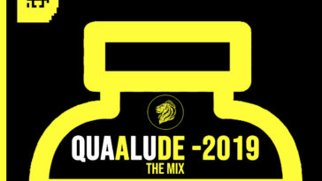 Quaalude ADE 2019 compilation